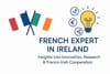 🌟 Fresh Updates on French Expert in Ireland!